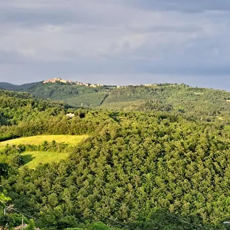 Vista Bella & *